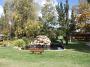 tamworth 016